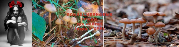 мефедрон VHQ Надым