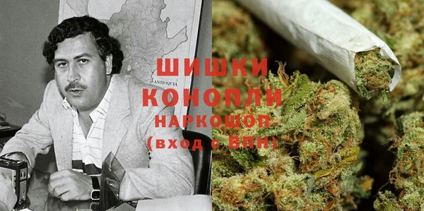 ГАЛЛЮЦИНОГЕННЫЕ ГРИБЫ Наволоки