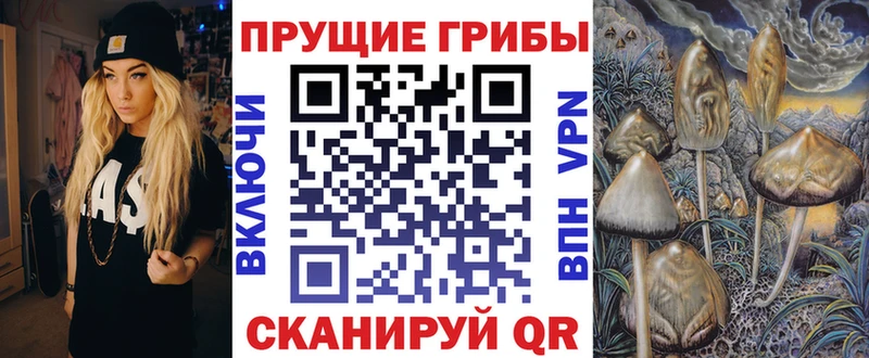Псилоцибиновые грибы прущие грибы  omg как войти  Новоржев  купить наркотики цена 